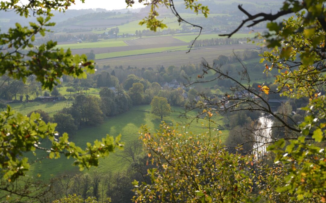 Article International 1